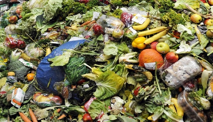 هدررفت مواد غذایی در الجزایر: ۳۰ درصد غذاها در سطل زباله ریخته می‌شود