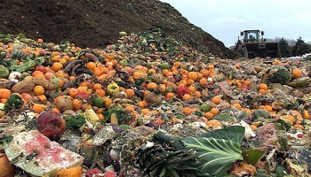 هدررفت مواد غذایی در الجزایر: ۳۰ درصد غذاها در سطل زباله ریخته می‌شود