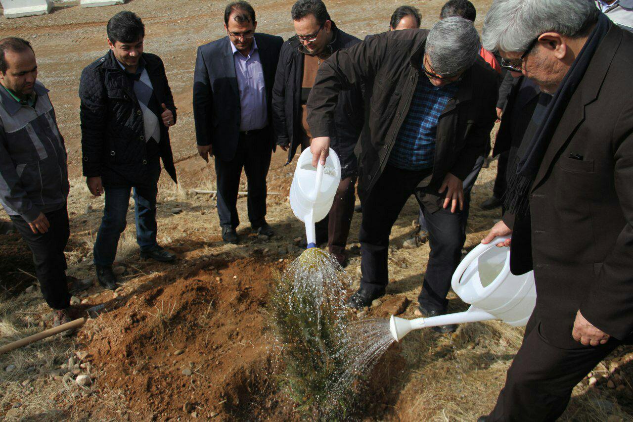 کاشت نهال در مرکز دفن زباله تبریز به مناسبت روز درختکاری