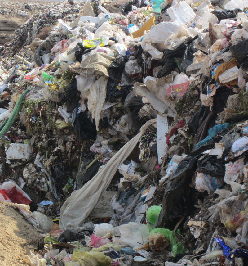 تولید و مصرف کیسه‌های پلاستیکی در جامعه کاهش یابد