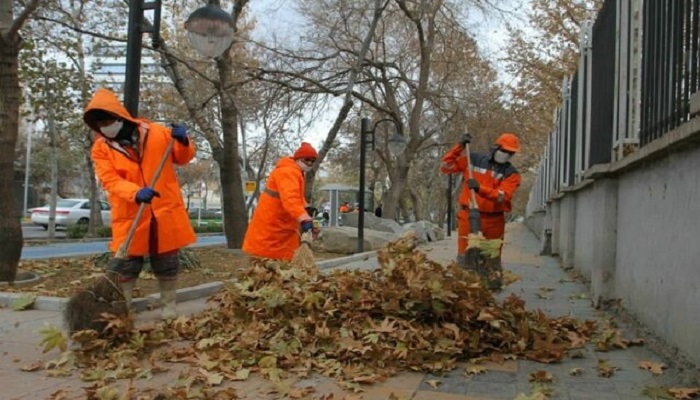 بازیافت سبز و بازگشت مواد آلی به چرخه فضای سبز