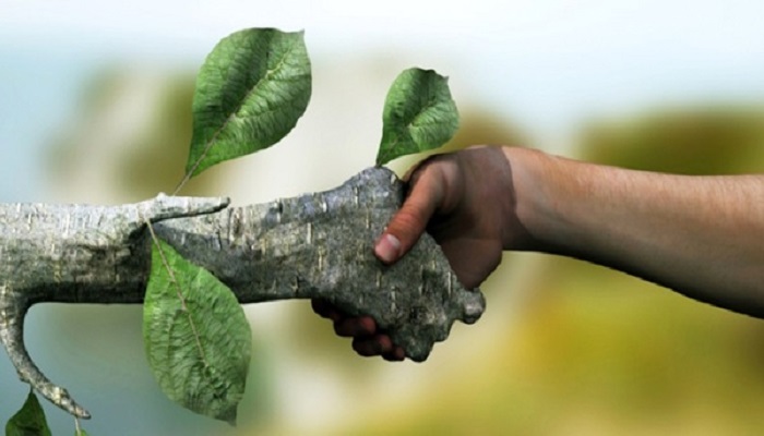 خرید سبز یکی از راهکاری سبک زندگی پایدار و دوستادر محیط زیست