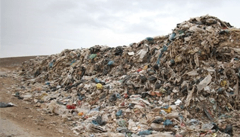 روزی ۳۳۰ تُن زباله در بندرعباس تولید می‌شود