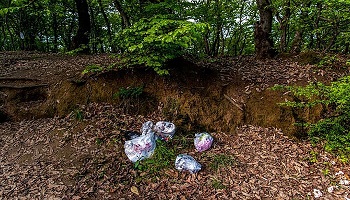 خودداری از ریختن زباله به خصوص ضایعات پلاستیکی در طبیعت